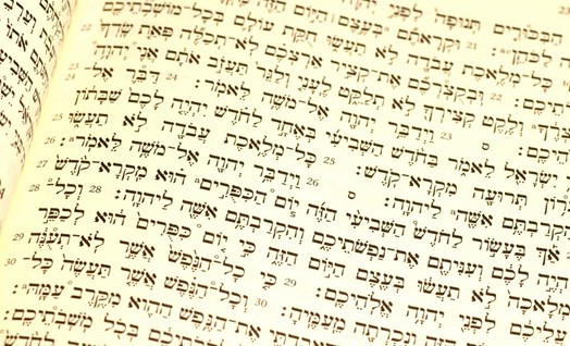 העברית בטקסטים מן המקורות היהודיים, חינוך לשוני