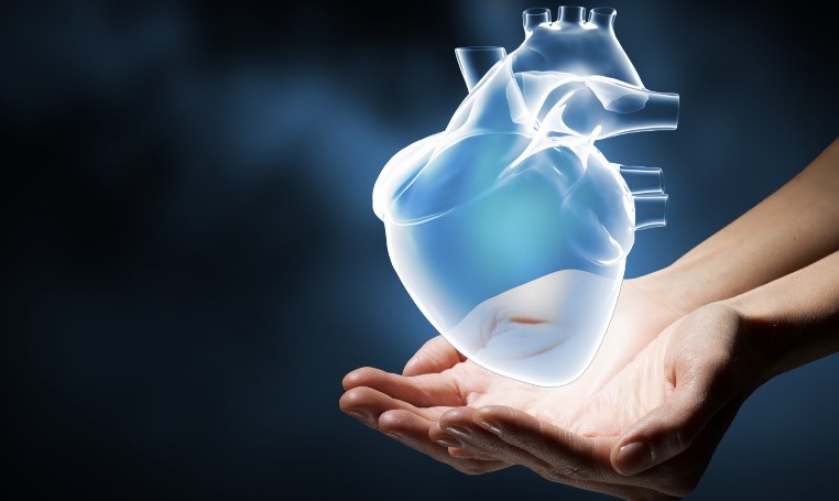 חידושים טכנולוגיים בתחום רפואת הלב 