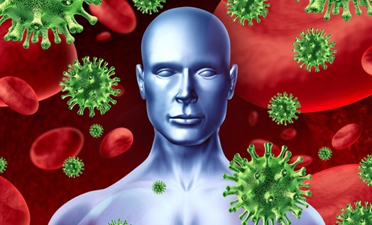 חיידקים ונגיפים בגוף האדם