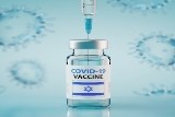  החיסון הישראלי