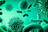 וירוסים וחיידקים