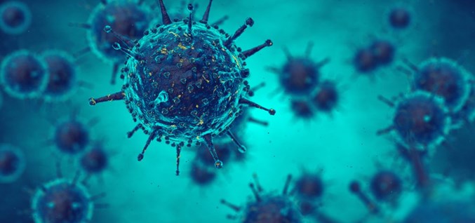 וירוסים ואיך ננצח אותם: תאים, חסינות וחיסונים