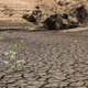 השפעת שינויי האקלים על בריאות האדם