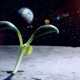 מחקר חלל אנלוגי – לקראת החיים מחוץ לכדור הכחול 