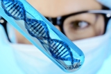  learn genetics - אתר באנגלית עם אנימציות בנושא מבנה התא ועוד