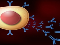 Prokaryotic vs. Eukaryotic Cells