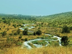 חדשות התנ"ך: חזק ואמץ