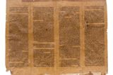 מילים וביטויים ייחודיים ותופעות תחביריות מעניינות