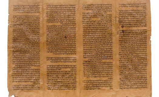 מילים וביטויים ייחודיים ותופעות תחביריות מעניינות