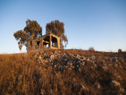 חדשות מהעבר: מלחמת יוה"כ