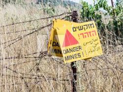 לא תשקוט הארץ: מלחמת יוה"כ