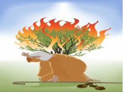  שליחות משה (מדק' 2:15)
