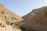 נחל ערוגות 