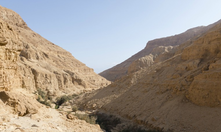 נחל ערוגות