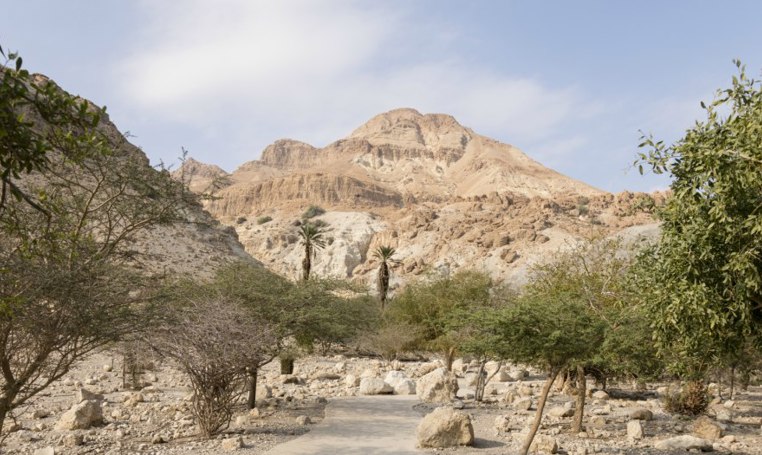 נחל דוד – שביל צפית