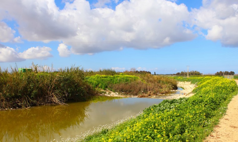 שמורת פולג – יקום