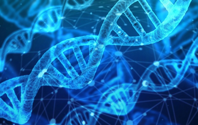רוזלינד פרנקלין – הגברת מאחורי הקלעים של ה-DNA
