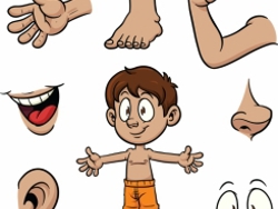 מתחת לעור: החושים (חלק ב)