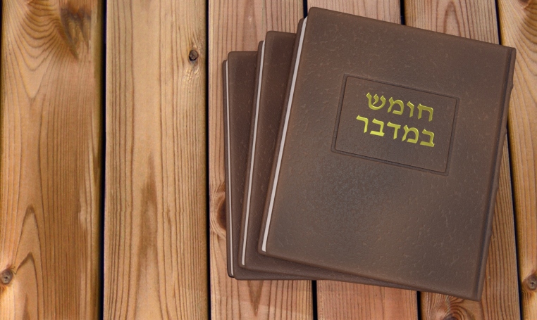 פנינים לכבוד שבת – פרשת בַּמִּדְבָּר