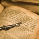 פנינים לכבוד שבת – פרשת קֹרַח