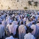 פנינים לכבוד שבת – פרשת נָשֹׂא
