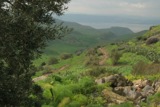 עין פיק