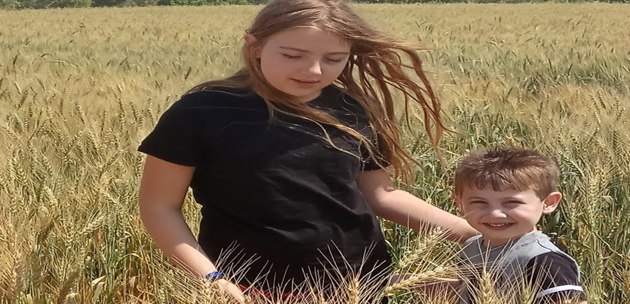 שבועות במרחב הפדגוגי