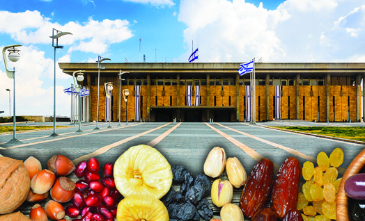 ט"ו בשבט - יום הולדת לכנסת