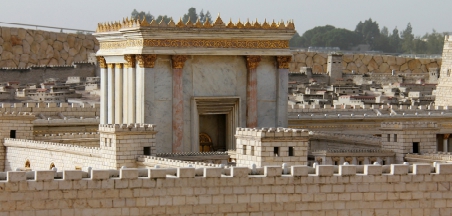 סתוונית ירושלים