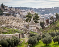 תלמוד בבלי קידשין מט, עא. אבות דרבי נתן כח