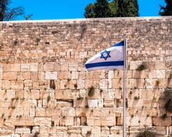שיר השירים רבא ז'