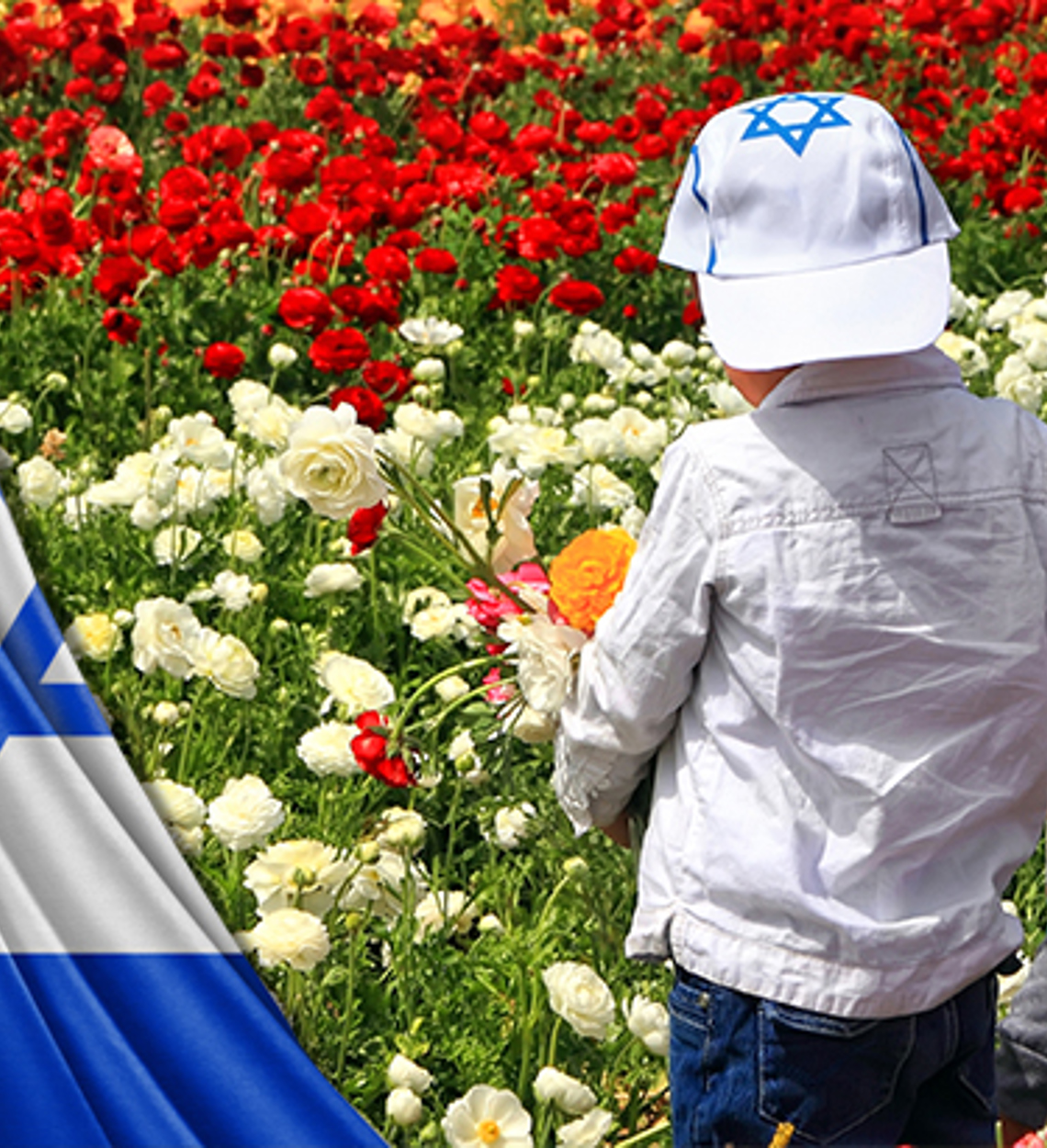 מולדת, חברה ואזרחות