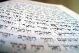 סדר החג