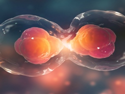 Cell Division