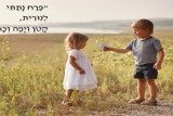 מרים ילן שטקליס
