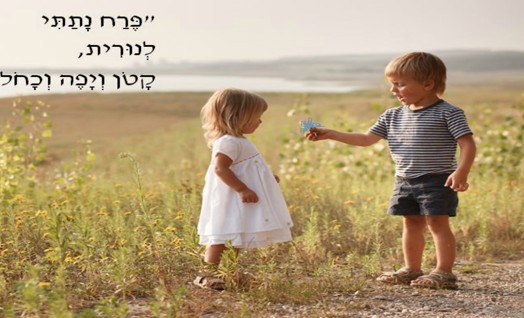 מרים ילן שטקליס