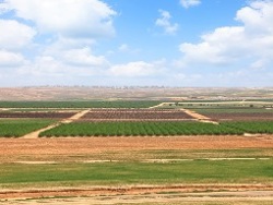 יישוב הנגב (מדק' 7:14)