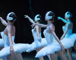 Dance of the sugar plum fairy