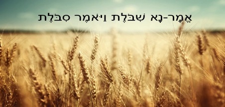 רעיונות לפעילויות לתלמידים