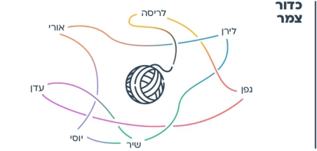 הצעות למהלך