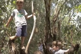 משחק חופשי בגן הפסלים