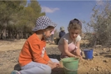 סדר יום בגן יער