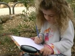 קריאה והפקה של איור מדעי 