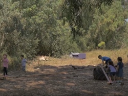 מסלולי תנועה וטיפוס במרחב פתוח