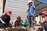 לומדים מכישלון בגינה