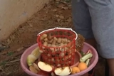 פינת ציפורים בחצר הגן 