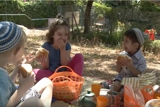 פיקניק ביער הקסום