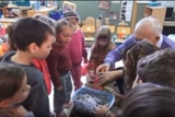 צמצום אשפה באמצעות תולעים אדומות