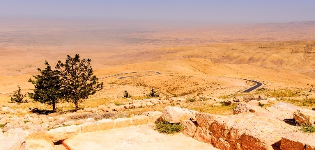 רעיונות לפעילויות לתלמידים