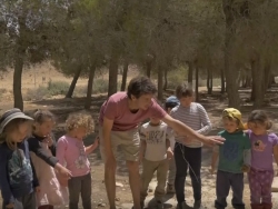 מהות גן יער